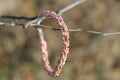 Swirly Beaded Bracelet