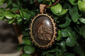 Muted Brown Estate Picture Jasper Necklace