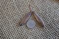 Sonoran Rhyolite for Tie Pendant Earrings