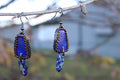 Beautiful Trapezoid Lapis Lazuli Earrings